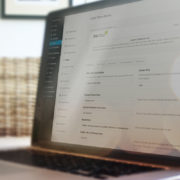 Powerful Theme Options